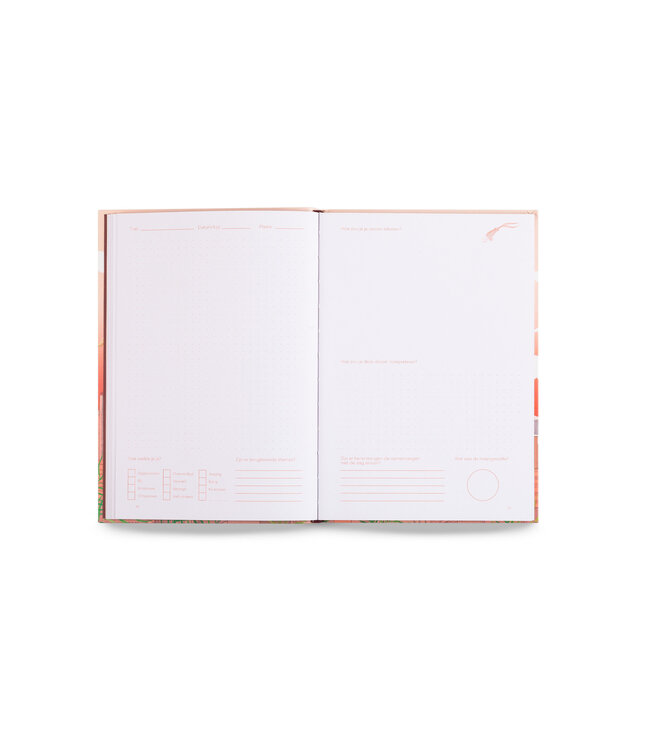 Droomdecoder - logboek