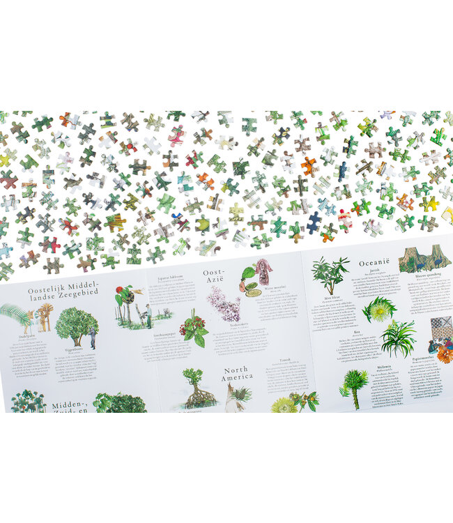 De wereld rond in 50 bomen