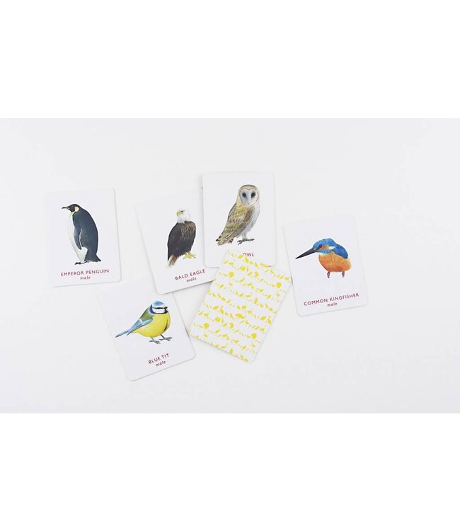 Match a Pair of Birds