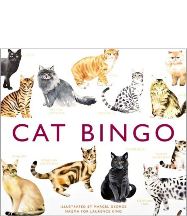 Cat Bingo
