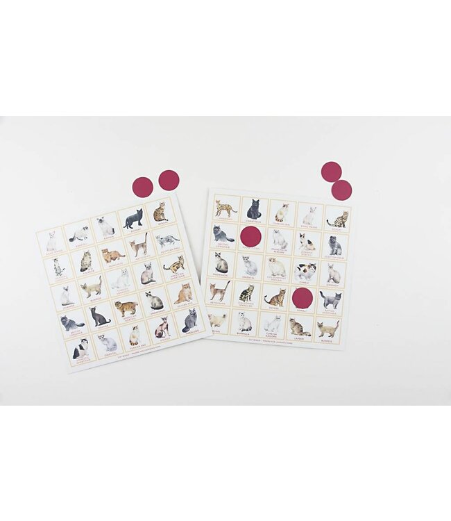 Cat Bingo