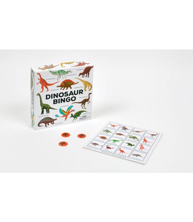Dinosaur Bingo