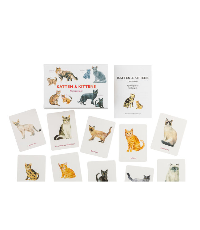 Katten & kittens memoryspel