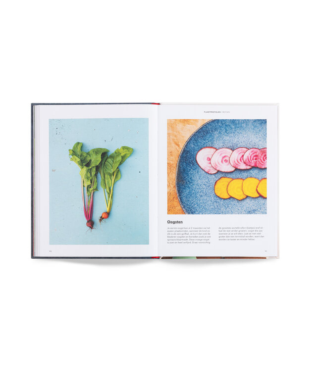 Hoe kweek je je eigen maaltijd