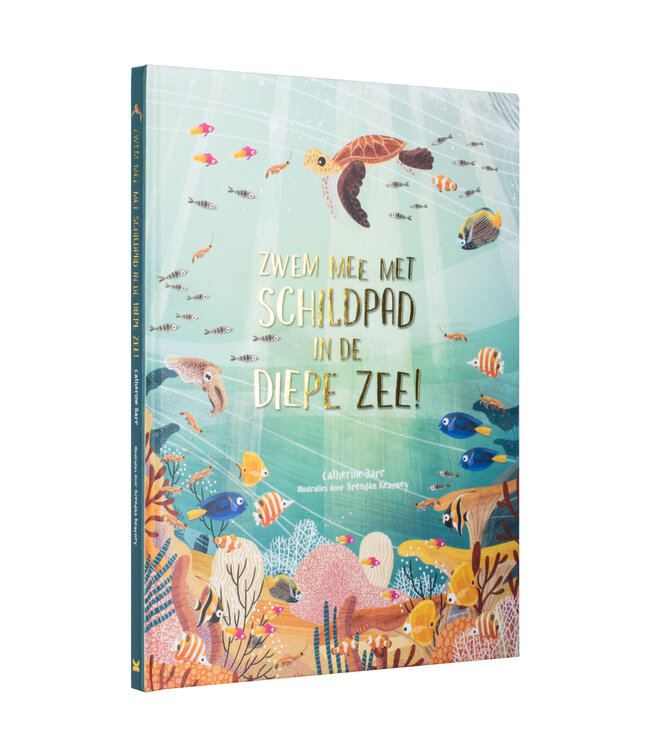 Zwem mee met schildpad in de diepe zee!