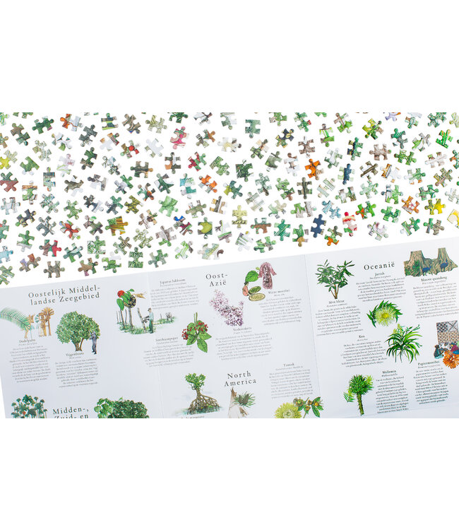 De wereld rond in 50 bomen