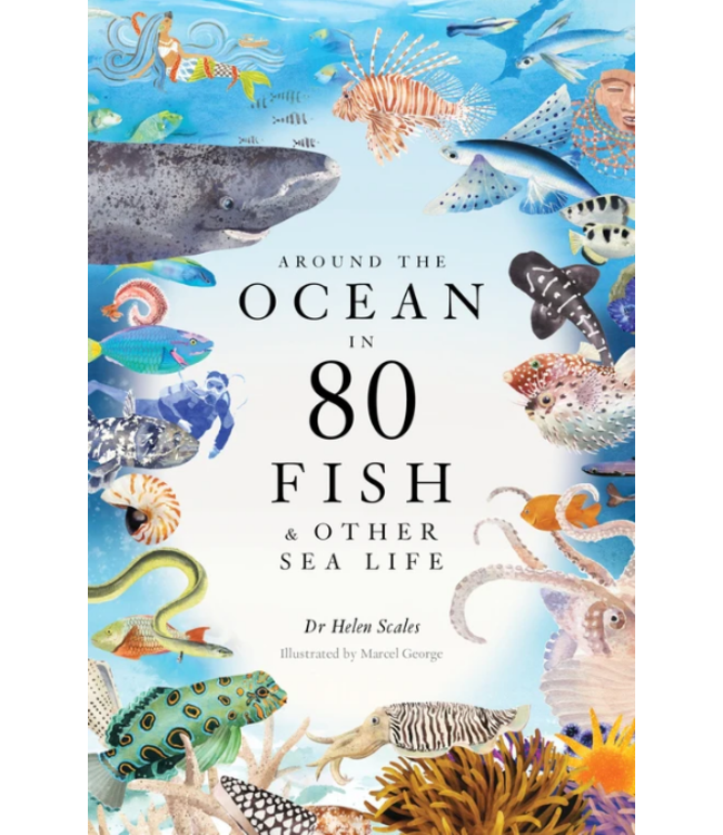 Around the ocean in 80 fish and other sea life