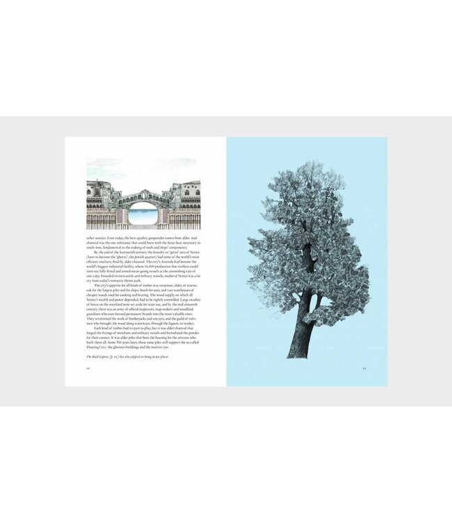 Around the World in 80 Trees