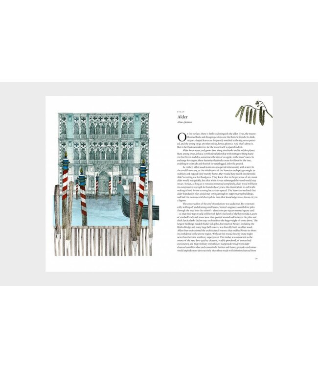 Around the World in 80 Trees