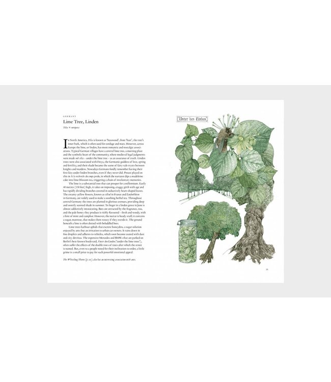 Around the World in 80 Trees