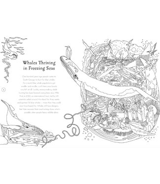 Return of the Wild Colouring Book