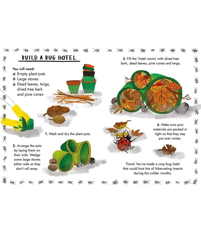 Little Guides to Nature: Hello Bugs