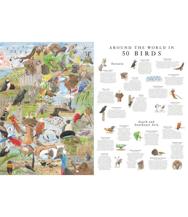 Around the World in 50 Birds