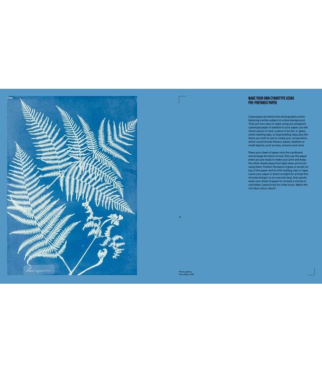 The Women Who Changed Photography