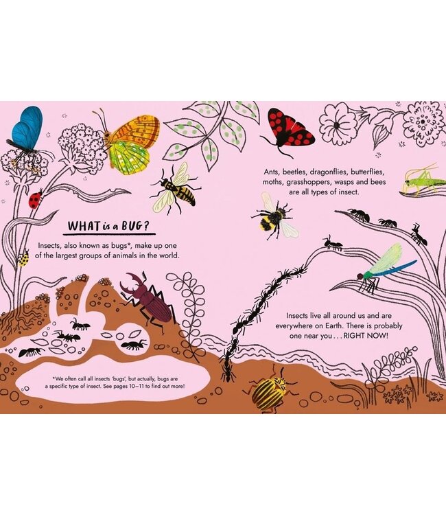 Little Guides to Nature: Hello Bugs