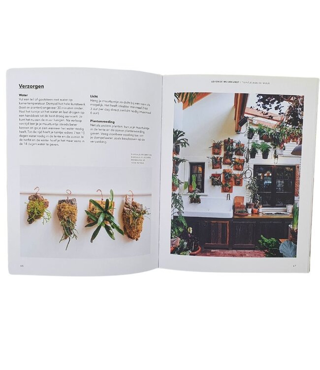 Hoe je je huis vergroent