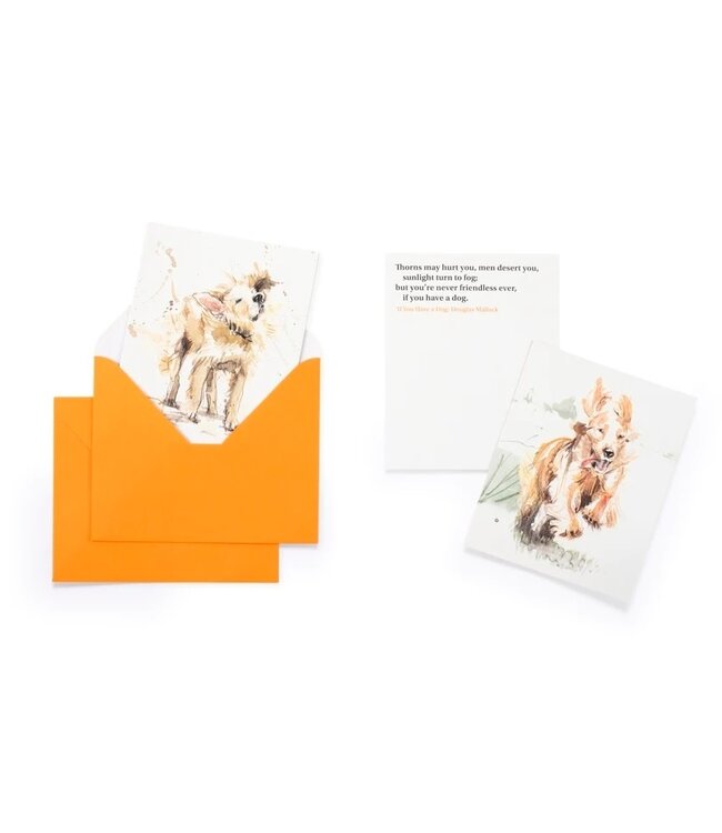 20 Individual Notecards and Envelopes