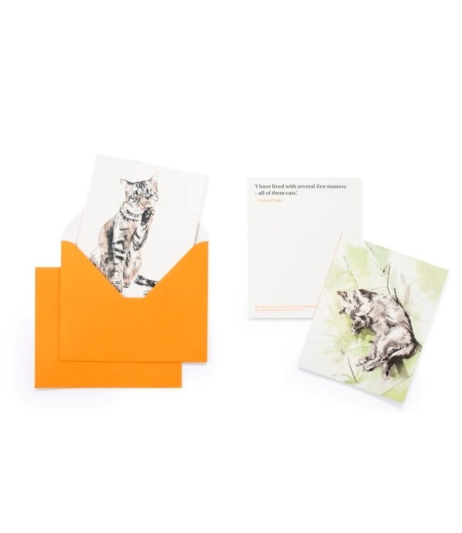 20 Individual Notecards and Envelopes