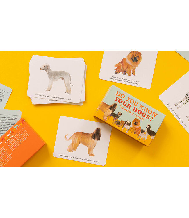 Do You Know Your Dogs?