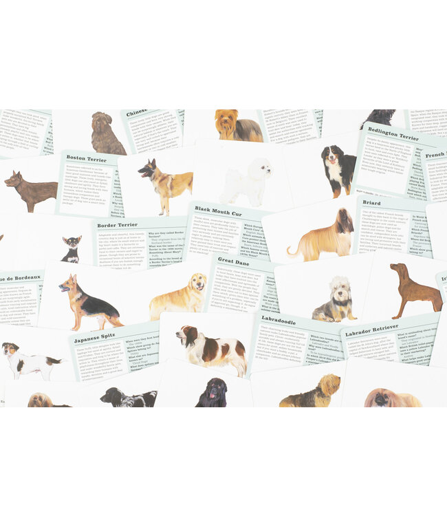 Do You Know Your Dogs?