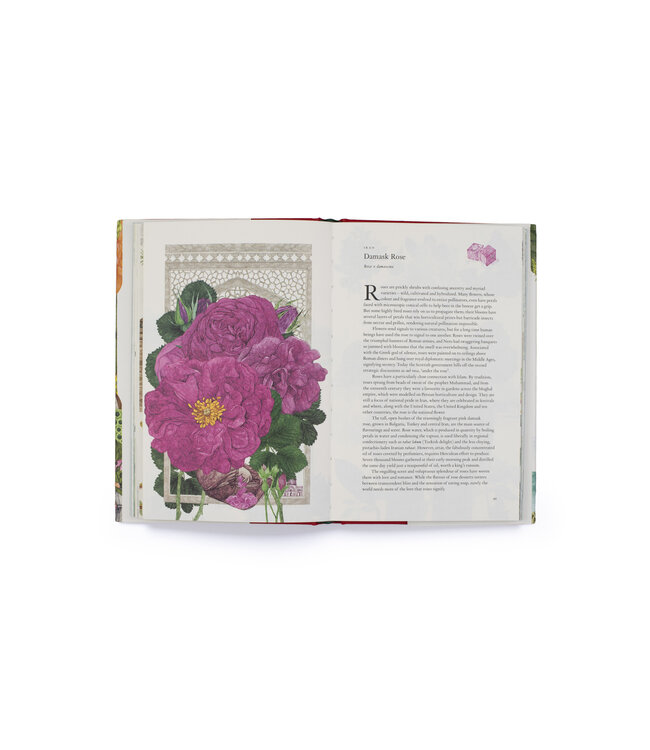 Around the World in 80 Plants