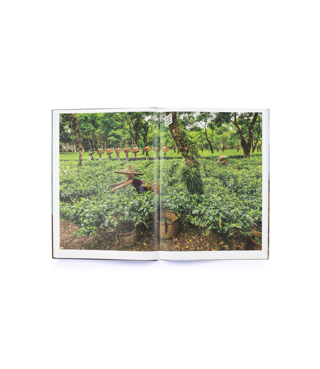 Steve McCurry In Search of Elsewhere