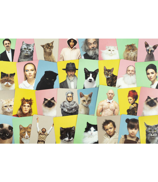 Do You Look Like Your Cat?