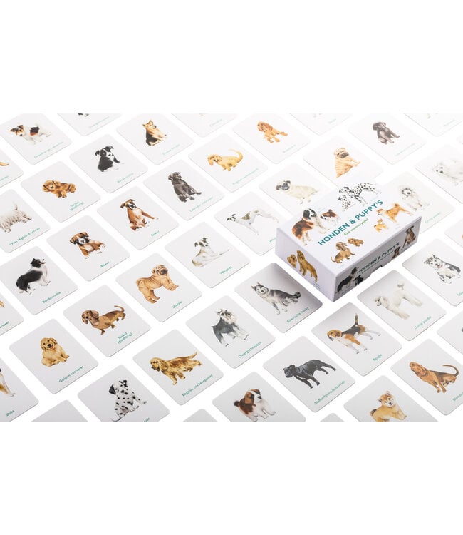 Honden & Puppies