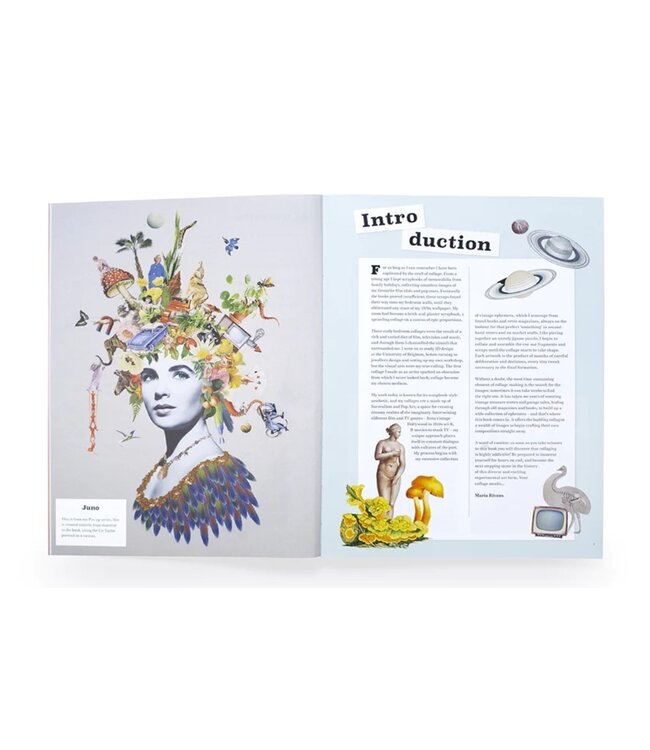 Extraordinary Things to Cut Out and Collage