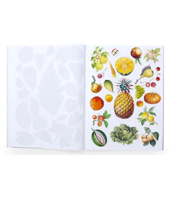 Extraordinary Things to Cut Out and Collage