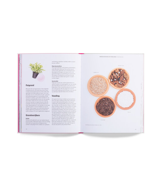 Hoe je een plant grootbrengt