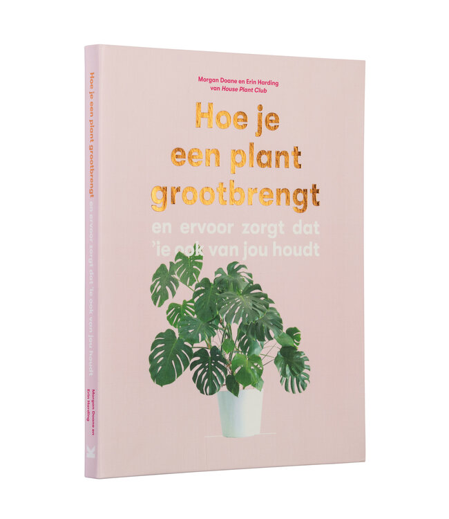 Hoe je een plant grootbrengt