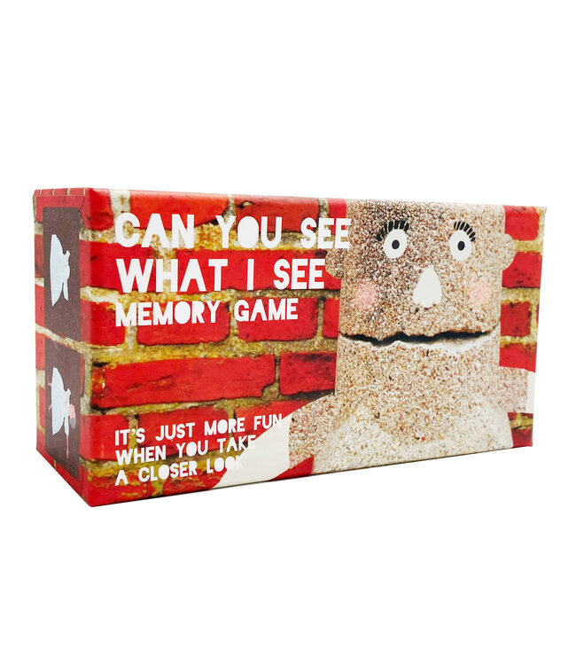 Can You See What I See Memory Game