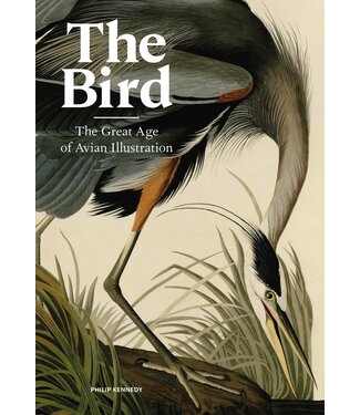 Philip Kennedy The Bird