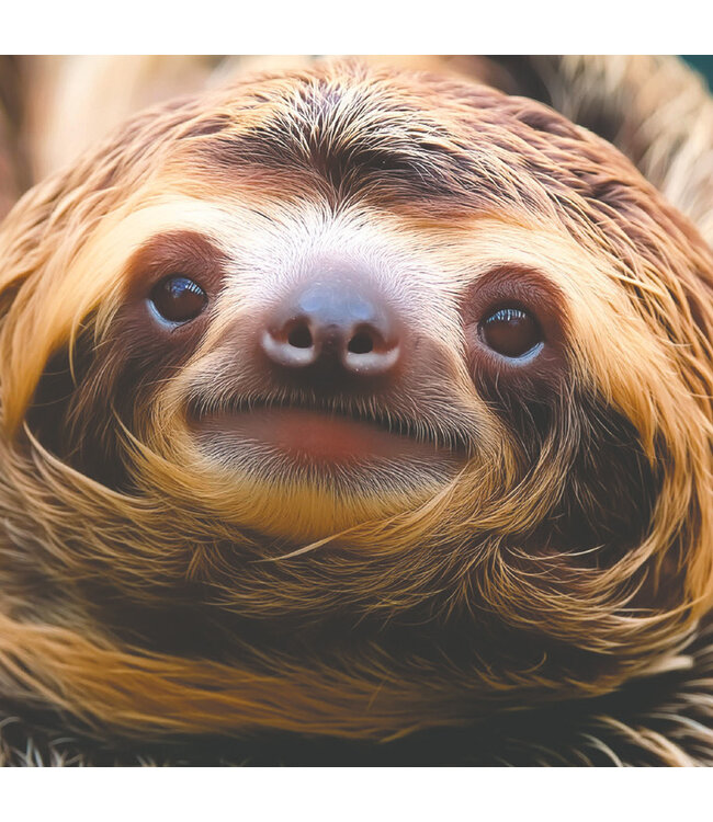 Creative Thinker's: Crazy Connections Memory Game