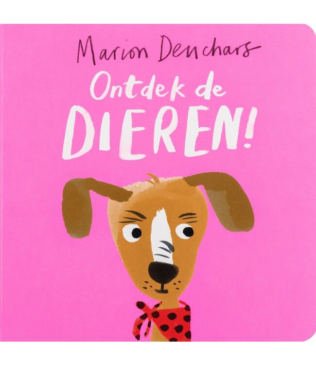 Ontdek de dieren!