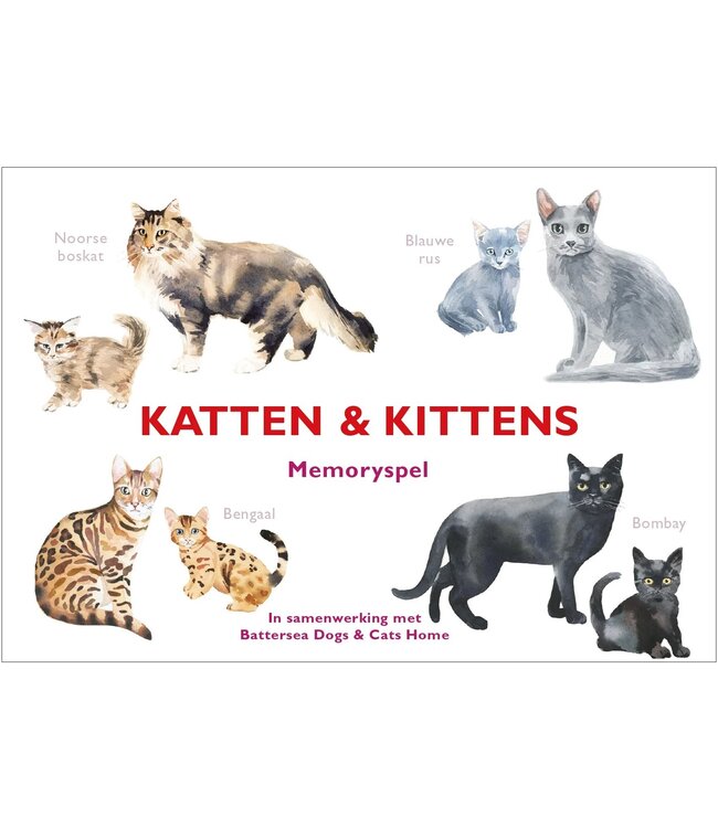 Katten & kittens memoryspel