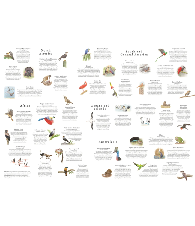 Around the World in 50 Birds