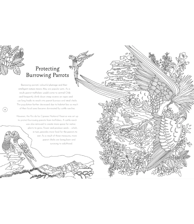 Return of the Wild Colouring Book