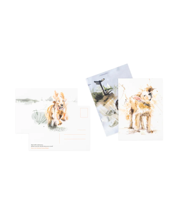 For the Love of Dogs: 25 Postcards