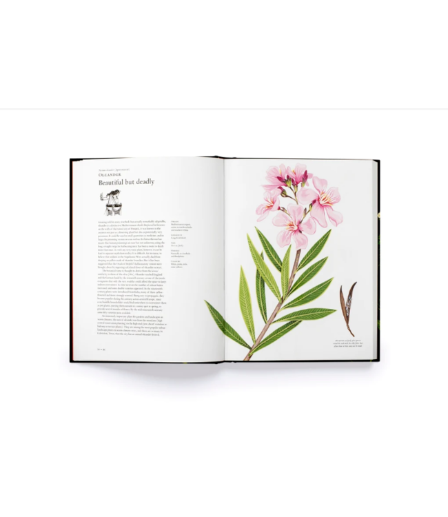 The story of Flowers