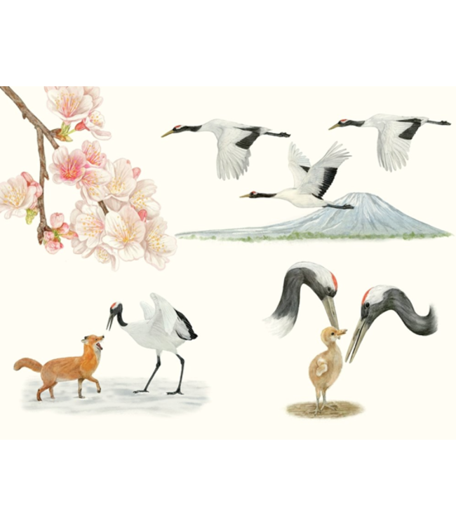 Around the World in 80 Birds