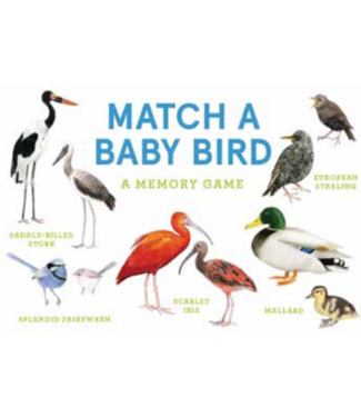 Match a Baby Bird