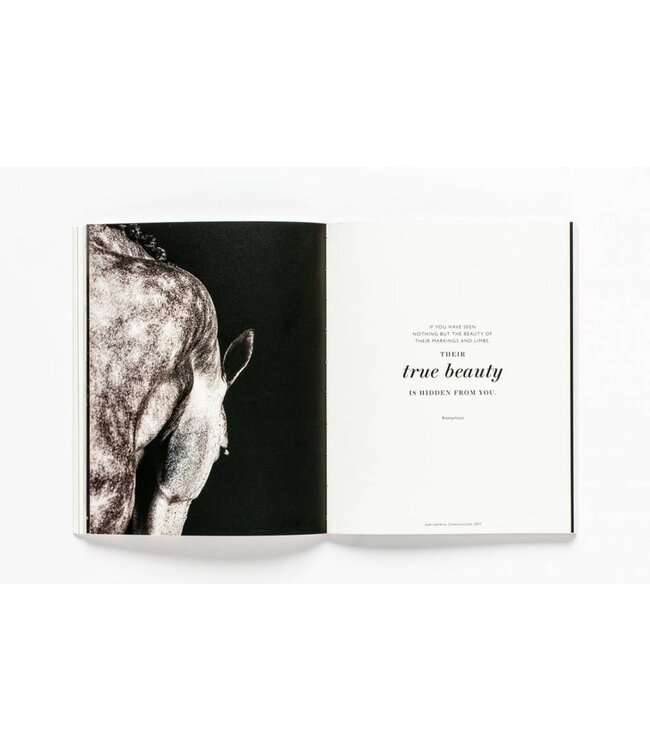 The Book of the Horse