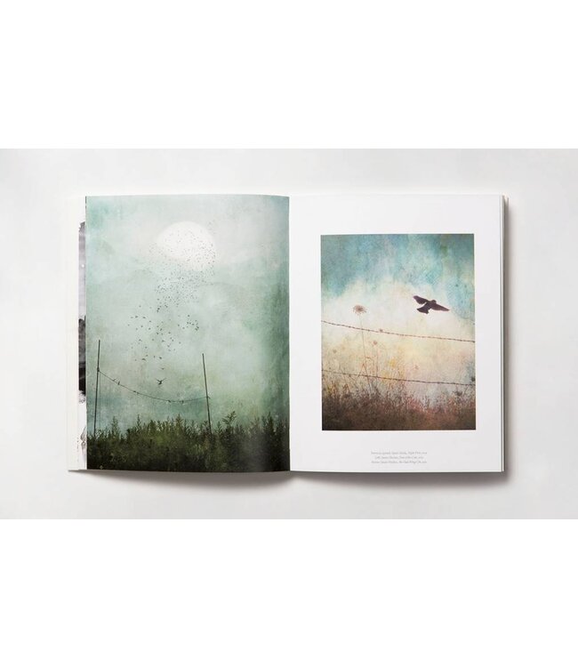 The Book of the Bird