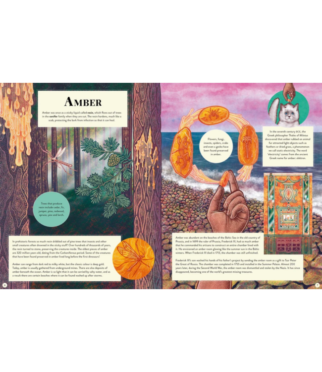 The Secret Lives of Stones