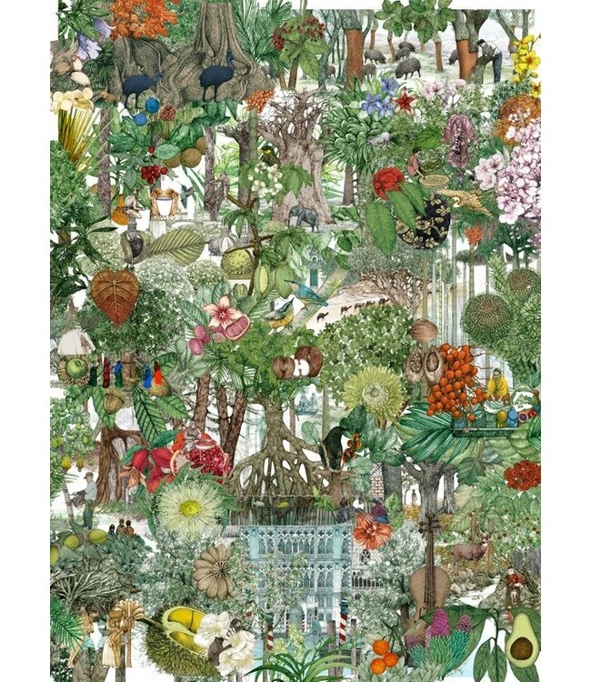 Around the World in 50 Trees