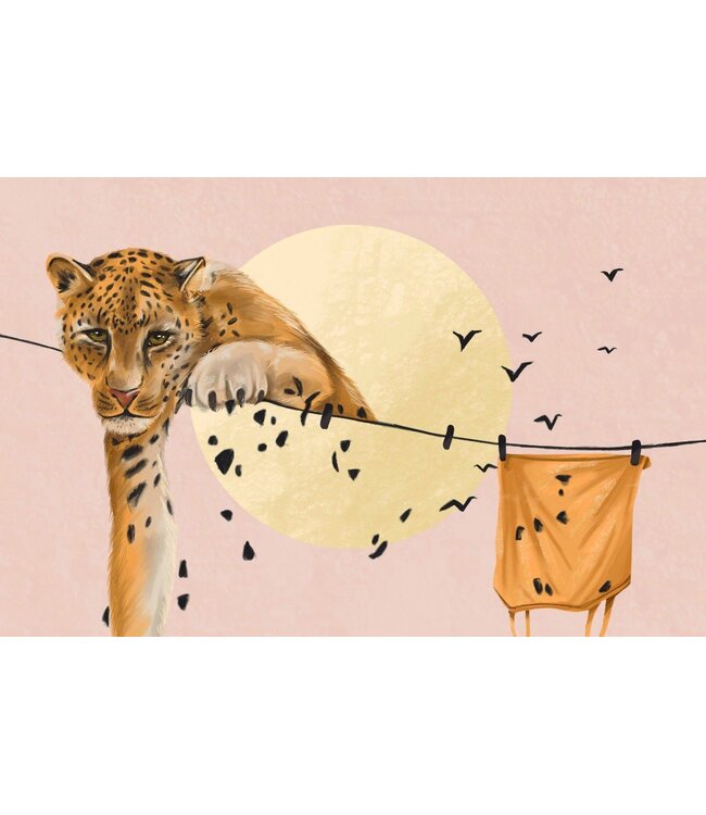 Baby Animal Match