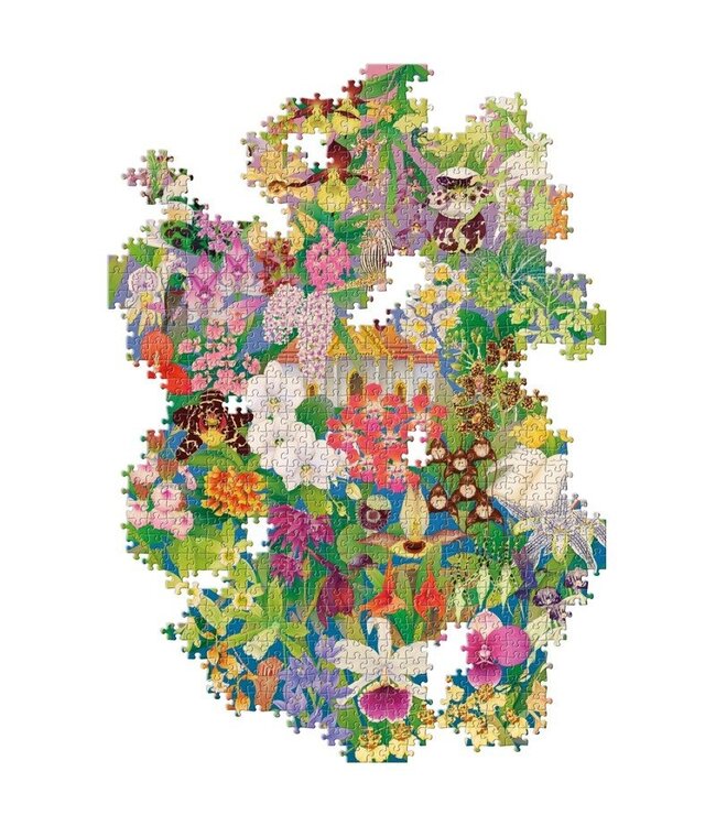 Around the World in 50 Orchids