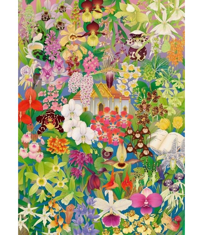 Around the World in 50 Orchids